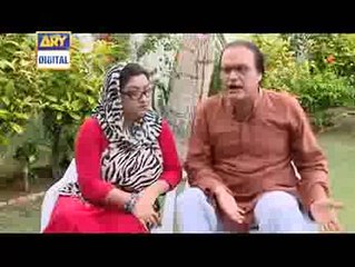 bulbulay dakoo part 99 nabeel ki dosri shadi