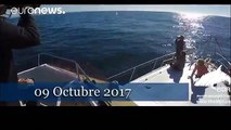 Extraordinario avistamiento de tres ballenas azules en Galicia