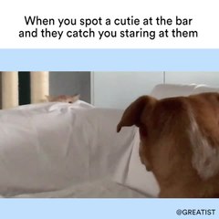 When you spot a cutie at the bar and they catch you staring at them