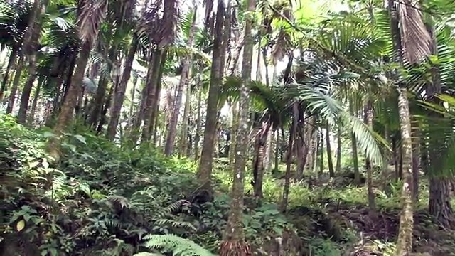 5 Incredible UNDERGROUND CREATURE SIGHTINGS & Encounters