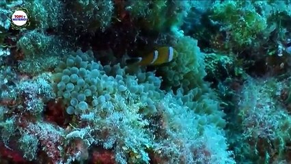 Las 10 Playas Mas Peligrosas del Mundo