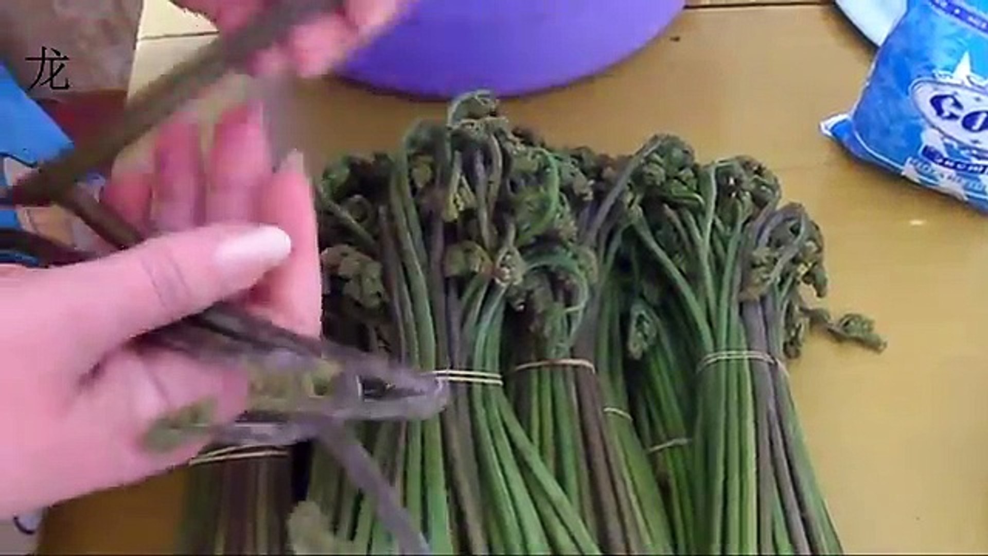 Папоротник Съедобный Фото — Фото