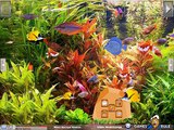 Flower Horn Fish Escape video walkthrough | Games2rule