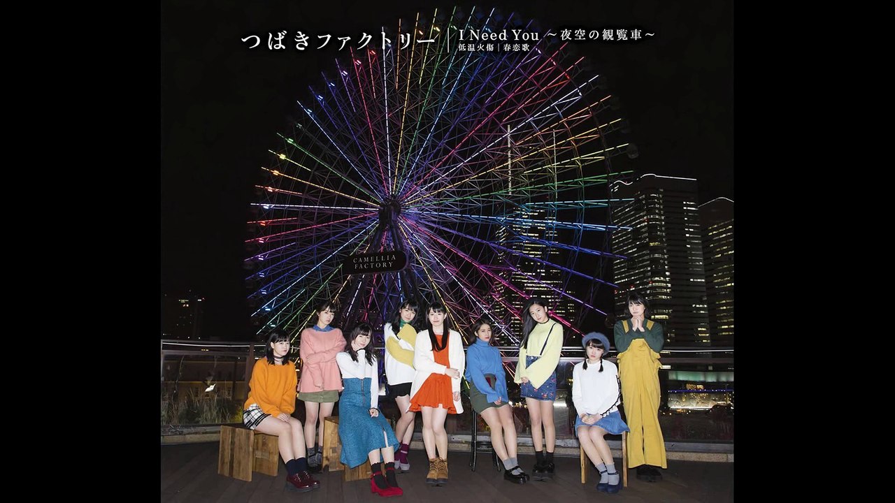 Tsubaki Factory - I Need You ~Yozora no Kanransha~ | Guitar Cover by Mr. Moonlight