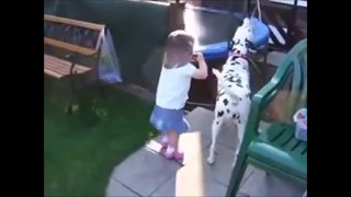 10 Funniest Dalmatian Videos