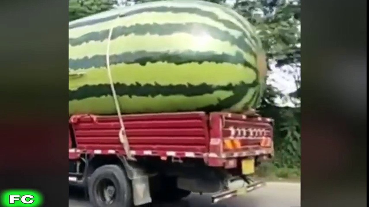 Ultimate FUNNY Videos & Crazy Clips ★ pt.2 ★ Best of the Year 2016 Compilation ★ FailCity