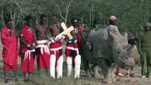 Sudan, world's last male northern white rhino dies