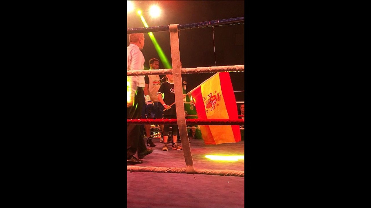 Boxe : Mickaël Lacombe perd par ko technique au 2e round face à Dotel