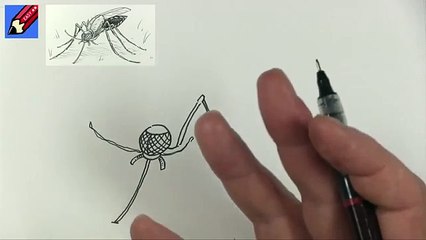 How to Draw a Mosquito Real Easy