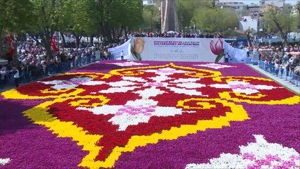 هذا الصباح- إسطنبول تتزين بأكبر سجادة من زهور التُوليب