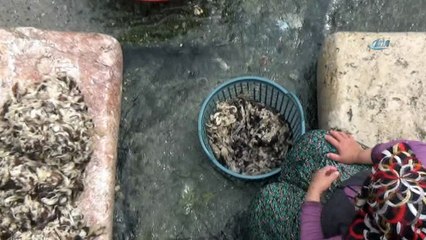 Tarihi mekanda halı ve yün yıkama geleneğini sürdürüyorlar