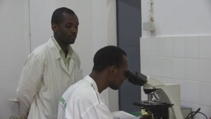 La OMS aplica el concepto "una sola salud" para prevenir ébola en Guinea