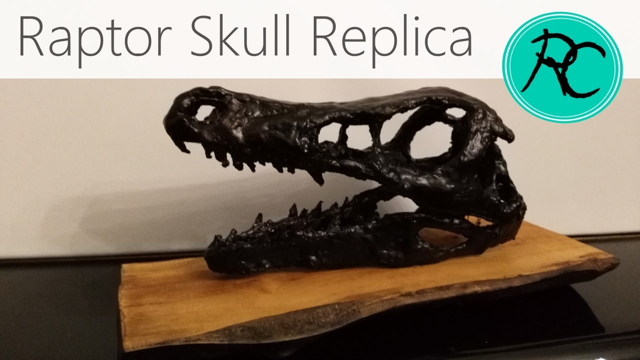 Make a Raptor skull