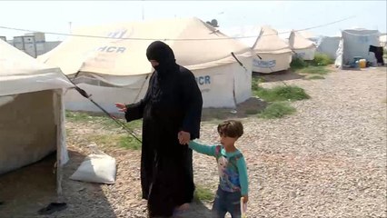 70 ألف نازح من نينوى يعيشون بمخيمات أربيل