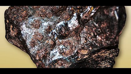 ABSURDALNE MITY których nauczyła nas SZKOŁA!