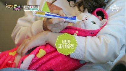 서유리, 고양이 발톱깎는 특별 비법?! 베테랑 집사미 뿜뿜!