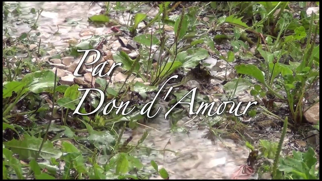 Par Don d'Amour -extrait