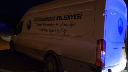 Büyükçekmece'de kimyasal paniğe neden olan zanlı, tutuklandı