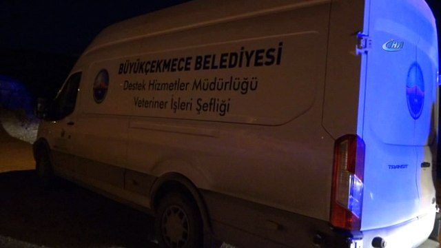 Büyükçekmece'de kimyasal paniğe neden olan zanlı, tutuklandı