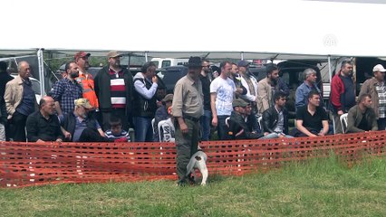 '10. Fermalı Av Köpekleri Mera Yarışması' - SAKARYA