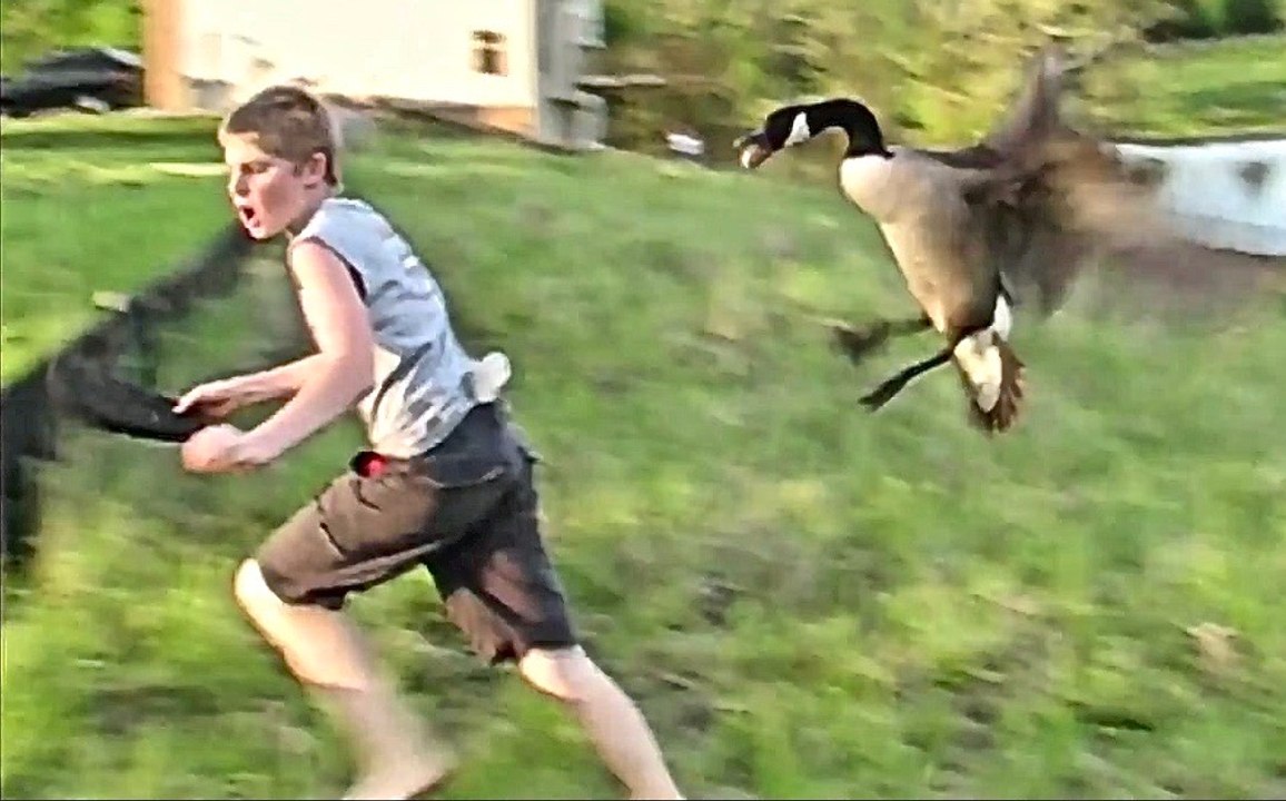 MAN AND BEAST Compilation - Part 36