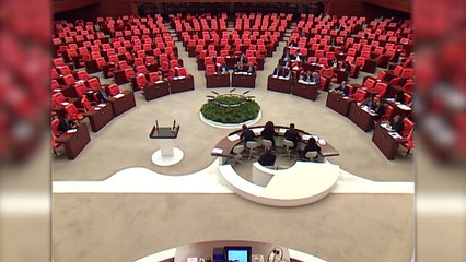 Meral Danış Mecliste Konustu...