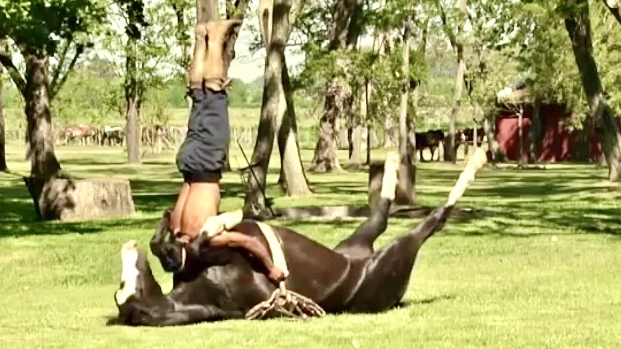 Man and Beast Compilation - Part 39