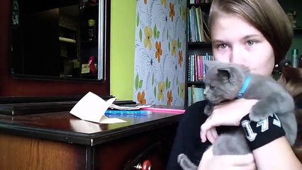 Как стать феей животных или Делай добро