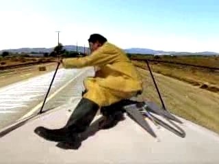 Mike Watt - Liberty Calls!