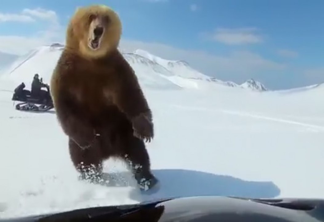 Kar motosikleti ile ayı kovalayan genç ölümden son anda kurtuldu!