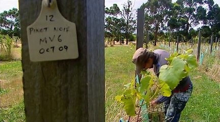 Grand Designs Australia S03 E03 - Balnarring Rammed Earth