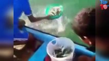 Top 10 Amazing Method Fishing Videos
