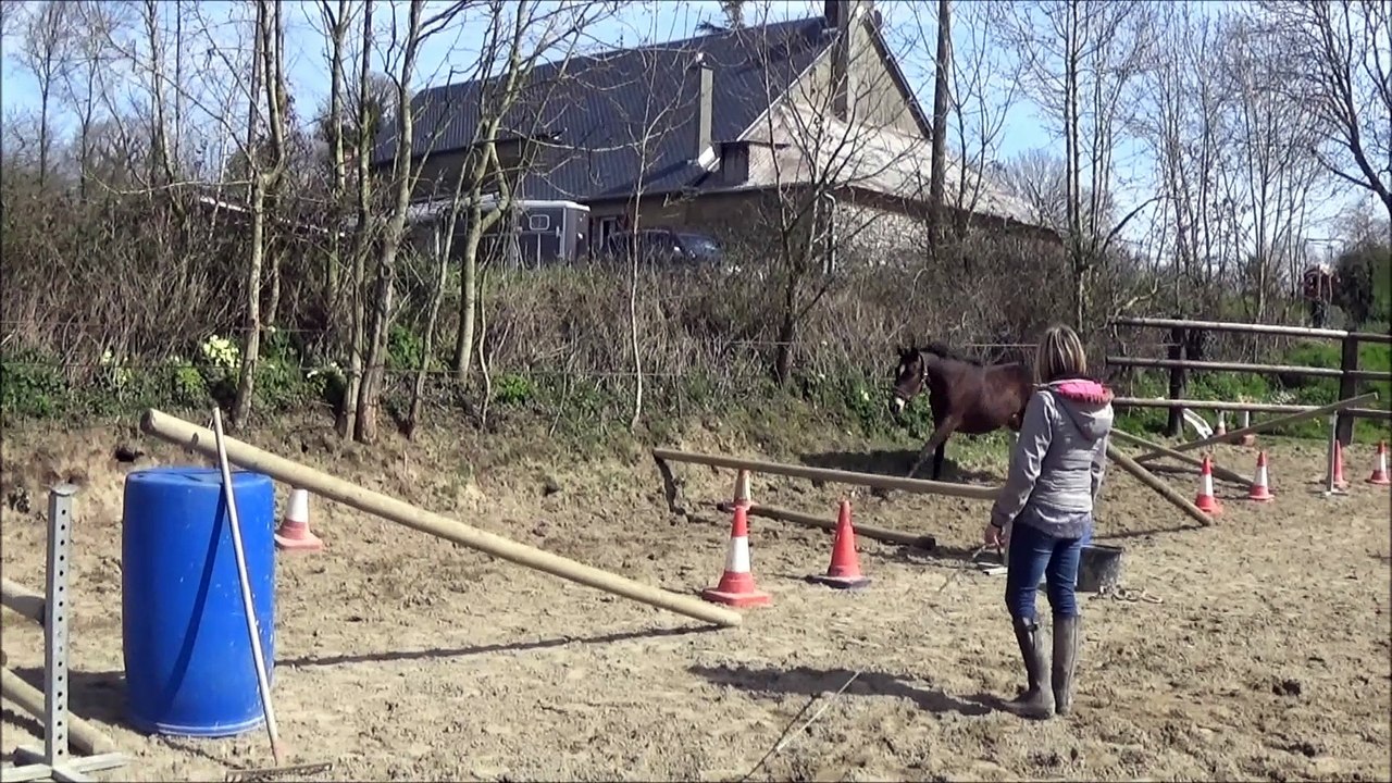 Grizehys des Edènes 2ans séance n°2