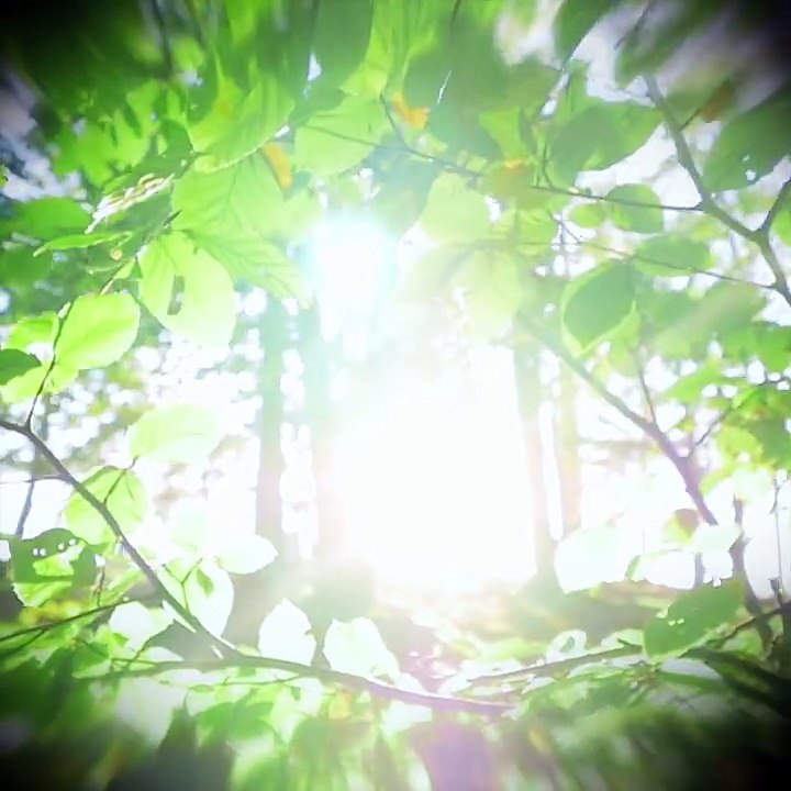 Xem Tronie rồi học hỏi cách chill nha quý dị. Phải mạnh tay như Đại Nhân và bia Beck's Ice thế này thì đố đứa nào dám hủy kèo  Beck's Vietnam#BecksIce #Tho