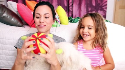 DEGUSTATION entre chiens - Ice et Lily découvrent une WoufBox !