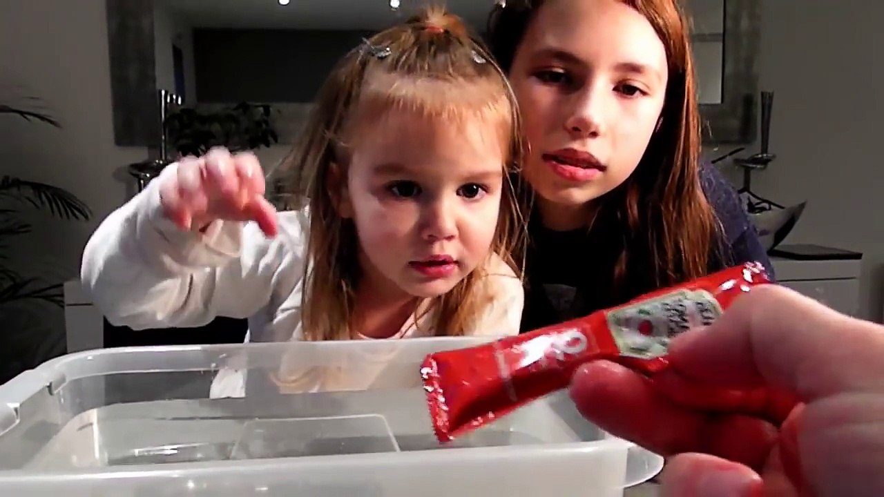 CHALLENGE COULE OU FLOTTE, Playmobil Special Plus 5371, Pikachu anniversaire 20 ans