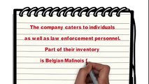 belgian malinois for sale