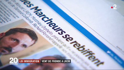 Loi immigration : vent de fronde chez LREM