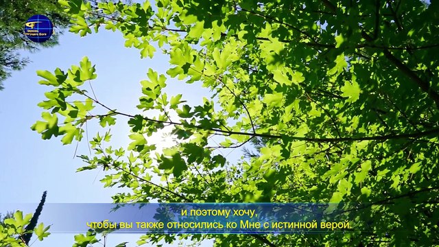 Слово Всемогущего Бога «Истинный ли ты верующий?»