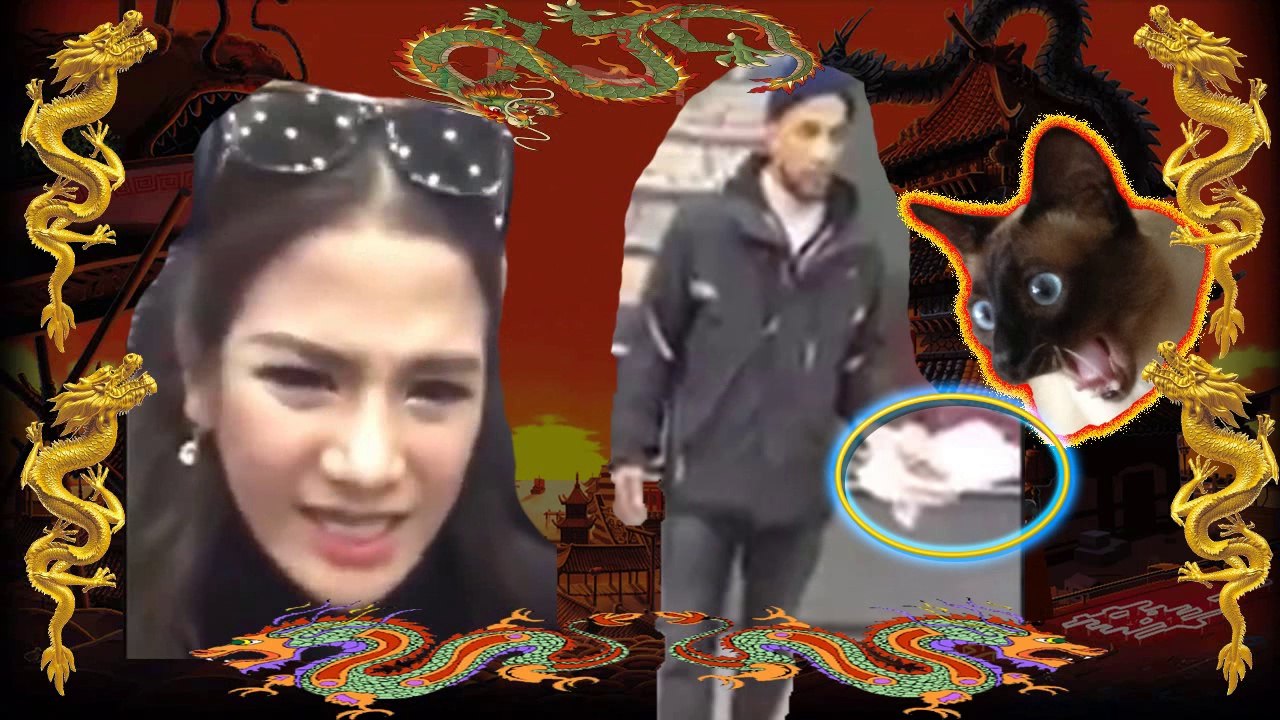 Listen to Thai lady, some fake Chinese foods, Jacob beware
