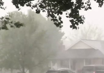 Severe Wind, Rain Slams Charlotte
