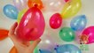 Popping Balloons Learn Colors and Counting 1-20 with Olie The Cub