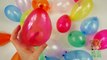Popping Balloons Learn Colors and Counting 1-20 with Olie The Cub