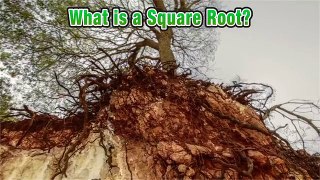 ☆ What is a Square Root and a Perfect Square? | Common Core Math