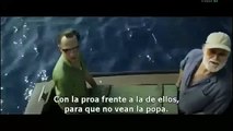 ESTRENO !  Peliculas Completas en Español Latino de Drama Parte 2