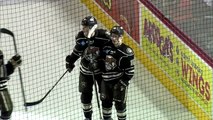 AHL Wilkes-Barre/Scranton Penguins 3 at Hershey Bears 2