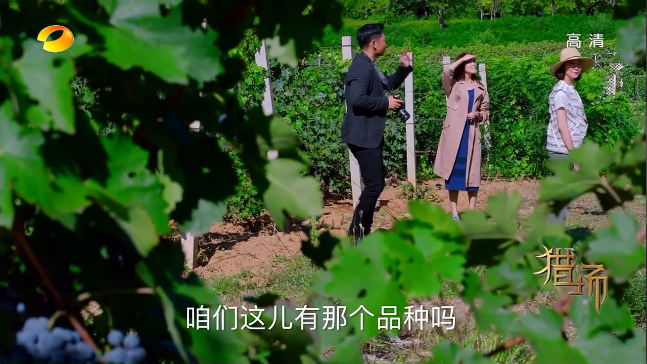 猎场 TV版 Game Of Hunting EP31 [720]【欢迎订阅 芒果独播剧场】