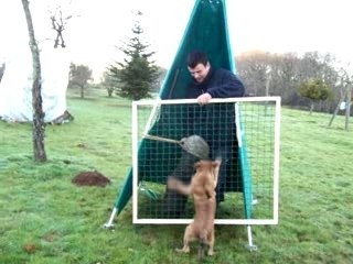 Aie peur aboiement 3.5 mois