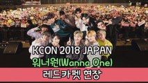 ‘KCON 2018 JAPAN’ 워너원(Wanna One), 두근두근 레드카펫 현장