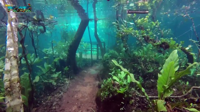 Trilha Submersa no Recanto Ecológico Rio da Prata